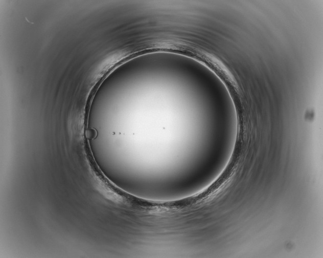 X0000099460938200805091525