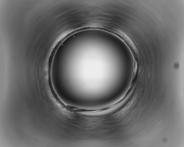 X0000099460939200805091525
