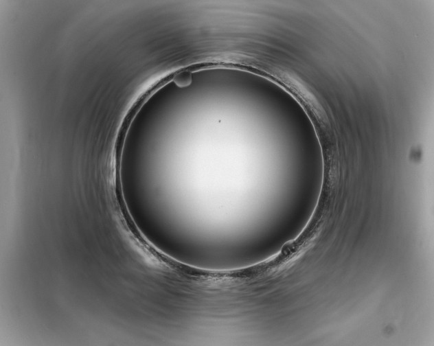 X0000099460940200805091525