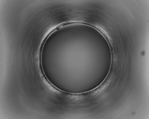X0000099460941200805091525