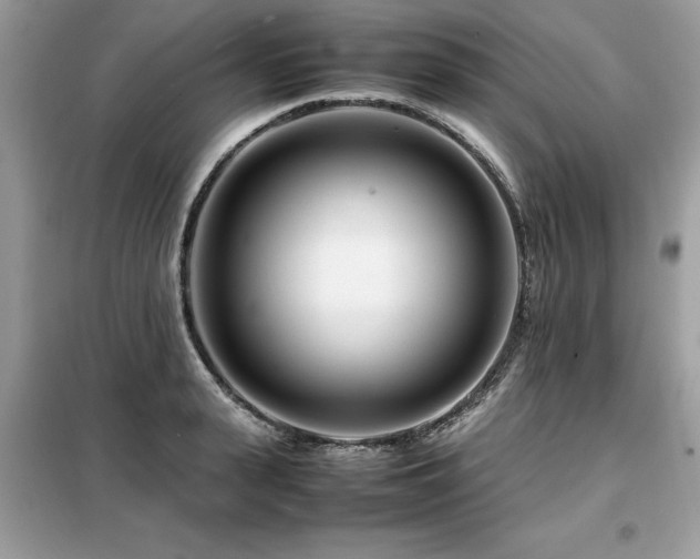 X0000099460943200805091525