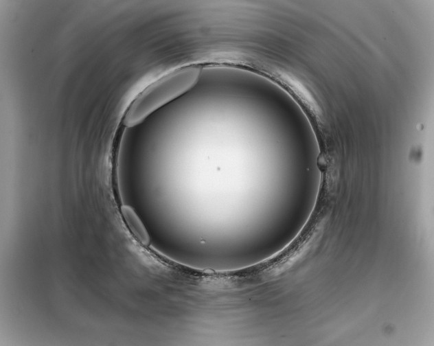 X0000099460944200805091525