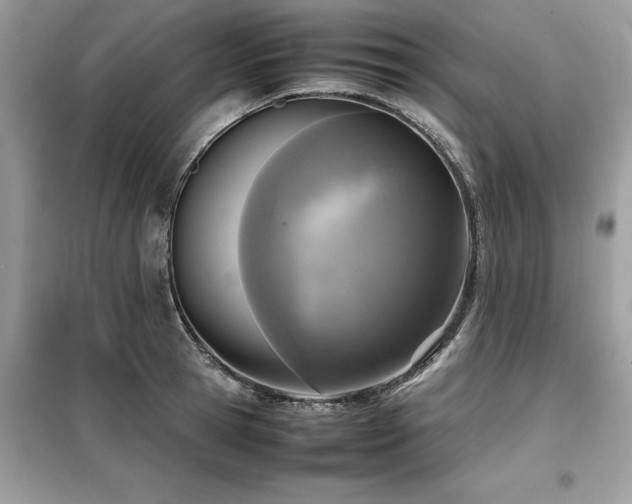 X0000099460945200805091525