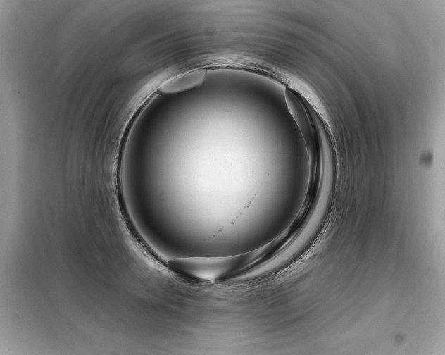 X0000099460946200805091525