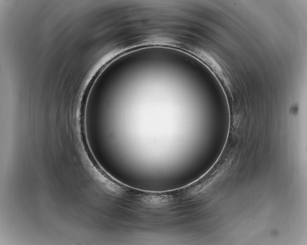 X0000099460947200805091525