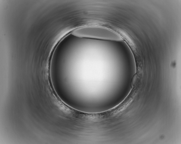 X0000099460948200805091525