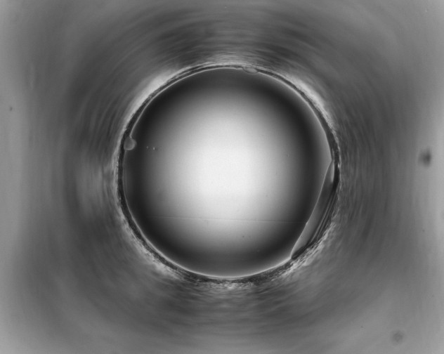 X0000099460949200805091525