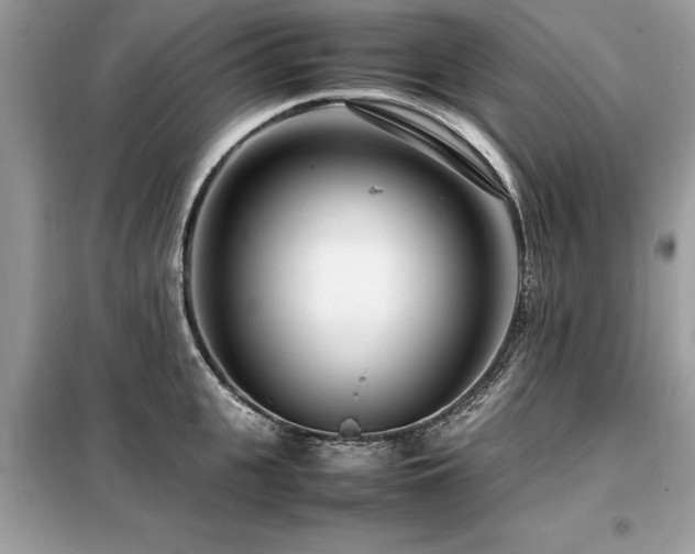 X0000099460951200805091525