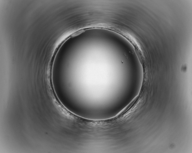 X0000099460952200805091525