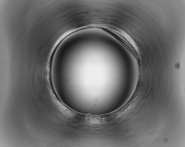 X0000099460955200805091526