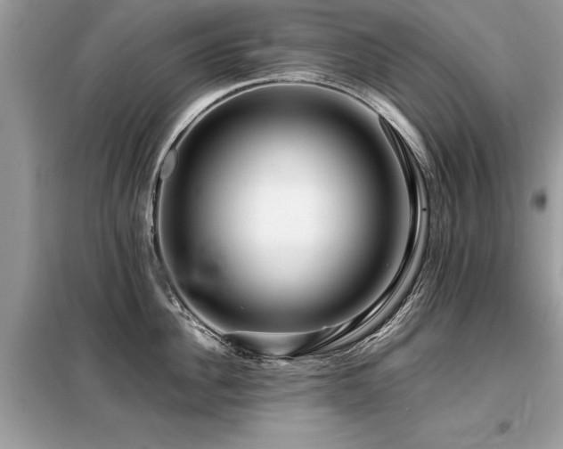 X0000099460956200805091526