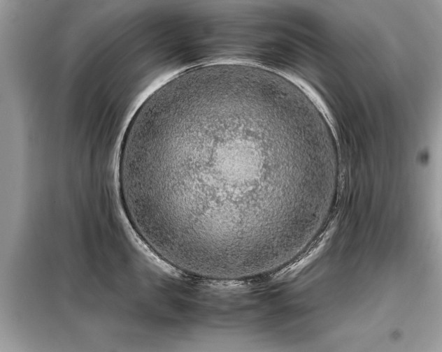 X0000099460957200805091526
