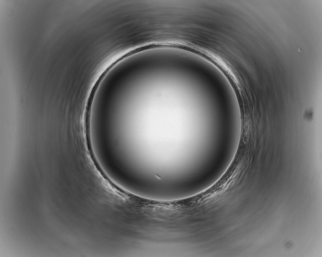 X0000099460959200805091526