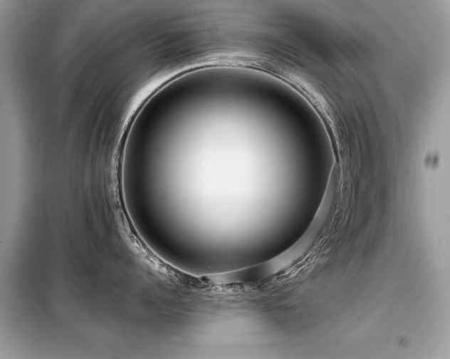 X0000099460960200805091526
