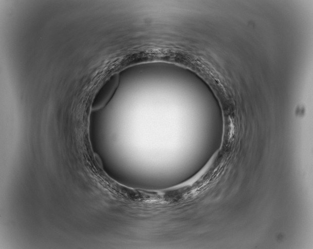 X0000099460961200805091525