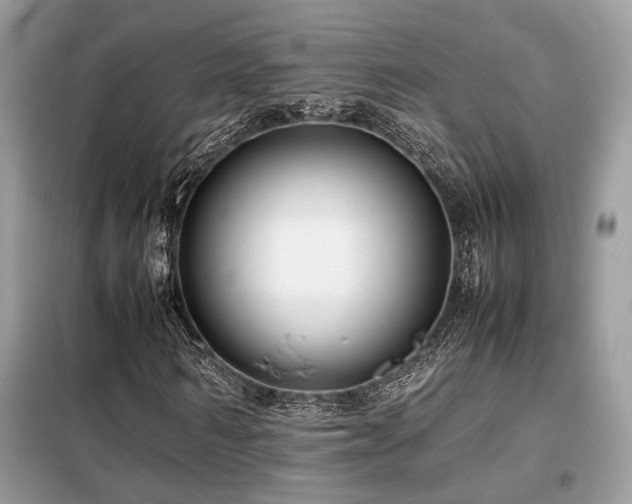 X0000099460962200805091525