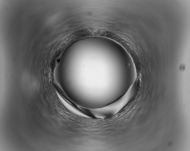 X0000099460963200805091525