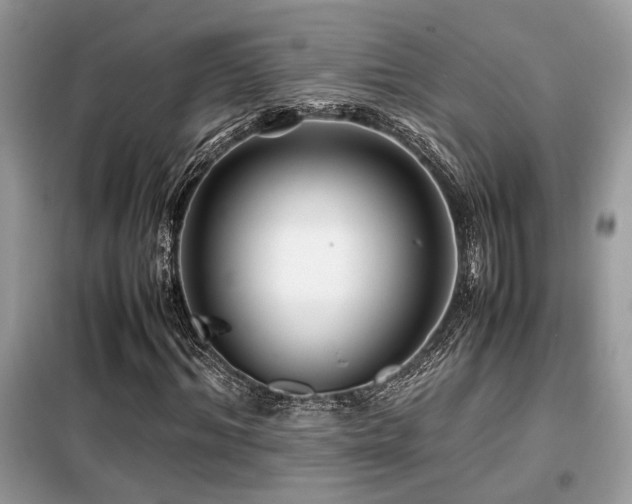 X0000099460964200805091525
