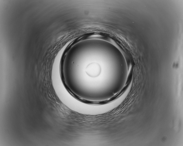 X0000099460965200805091525