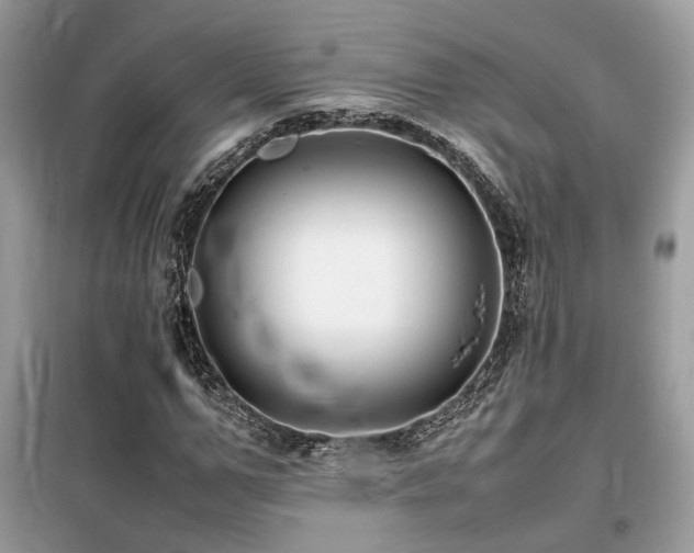 X0000099460967200805091525