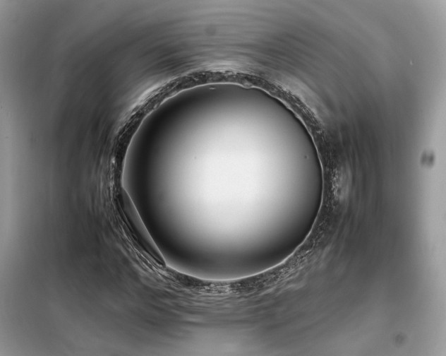 X0000099460968200805091525