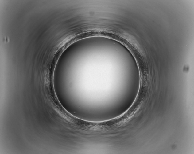 X0000099460969200805091525