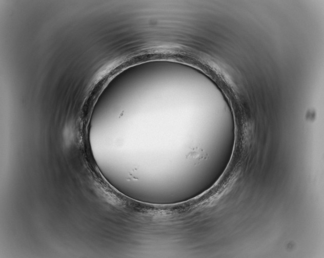 X0000099460970200805091525