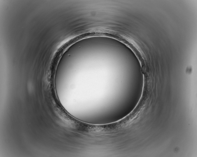 X0000099460971200805091525