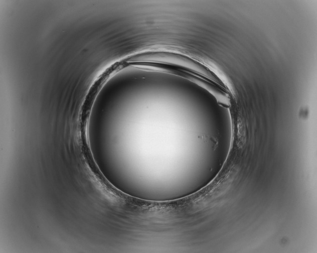 X0000099460972200805091525