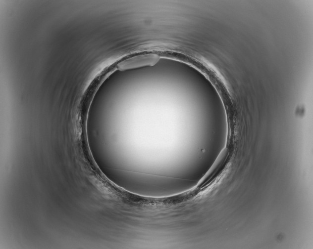 X0000099460973200805091525