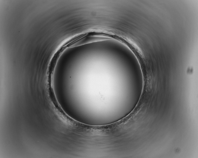 X0000099460976200805091525