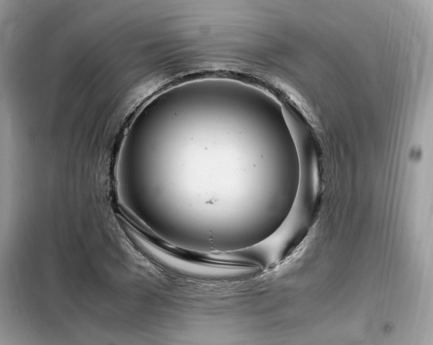 X0000099460977200805091525