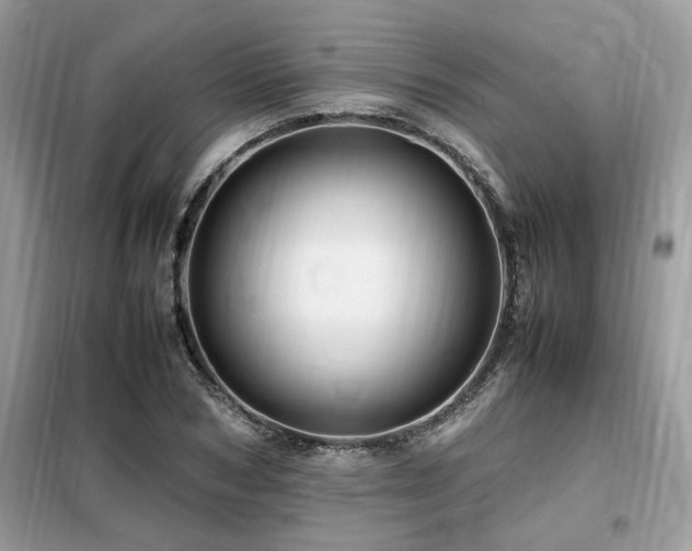 X0000099460978200805091525