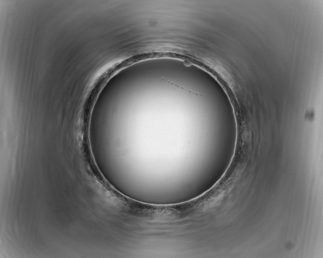 X0000099460979200805091525