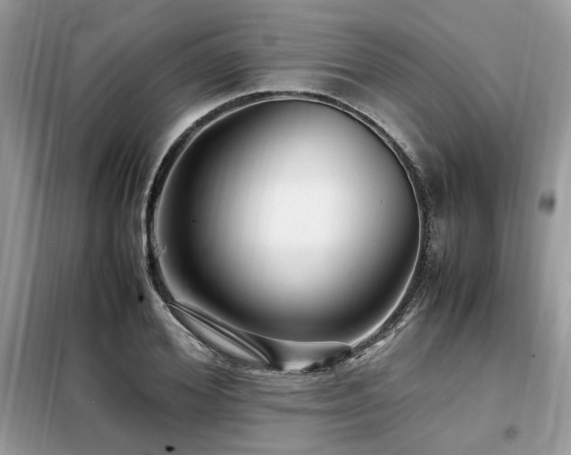 X0000099460980200805091525