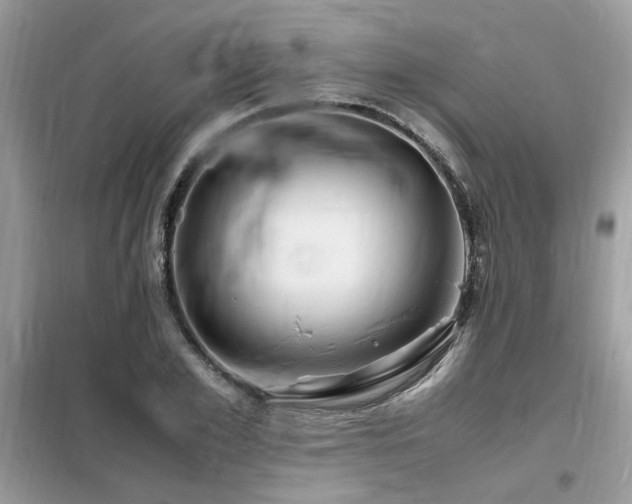 X0000099460981200805091525