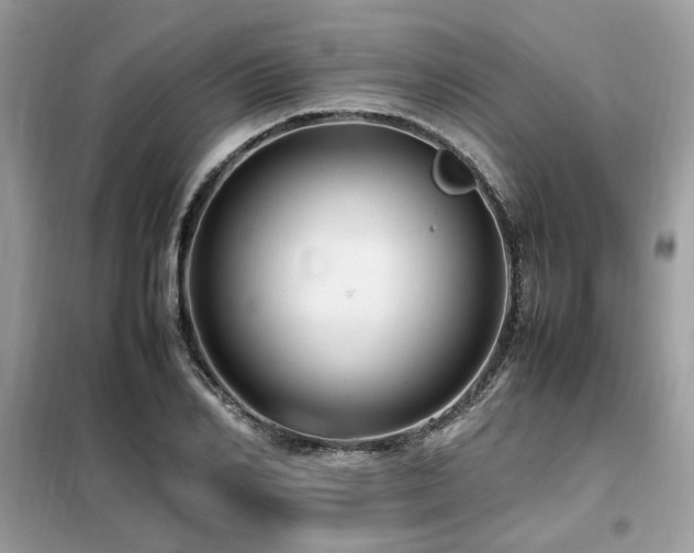 X0000099460982200805091525