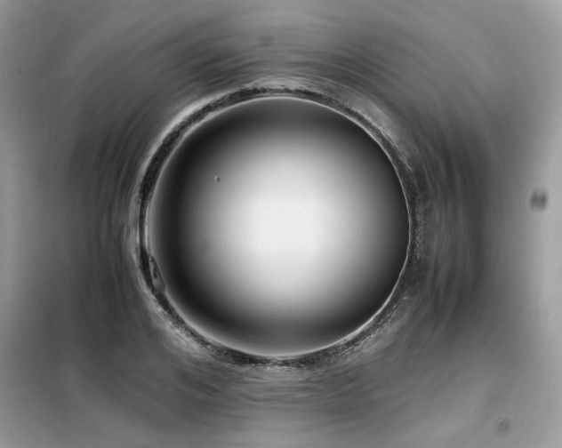 X0000099460984200805091525