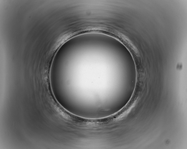 X0000099460985200805091525