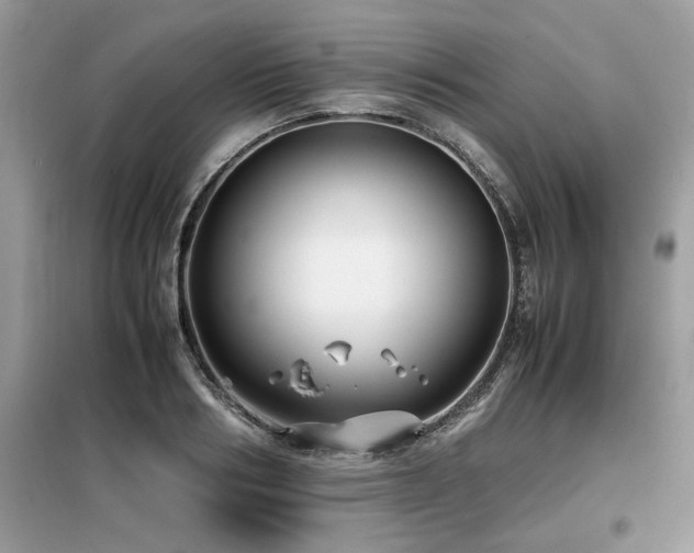 X0000099460986200805091525