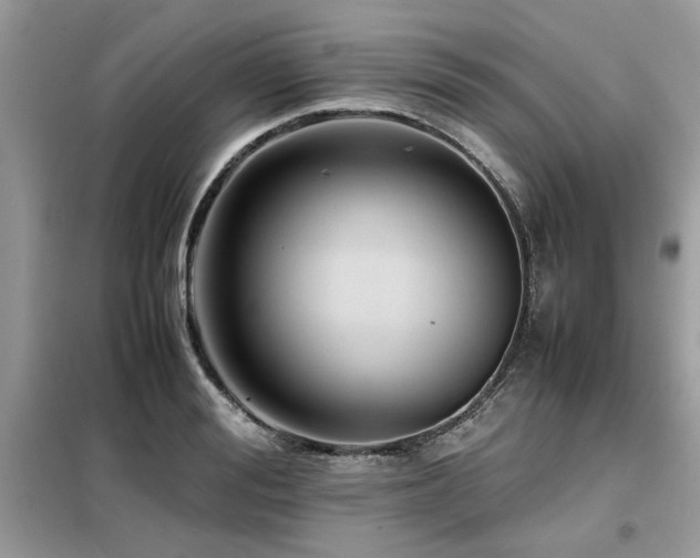 X0000099460988200805091525