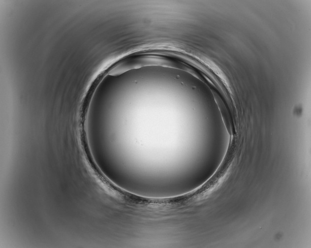 X0000099460989200805091525