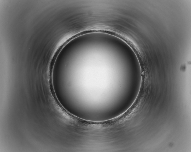 X0000099460990200805091525