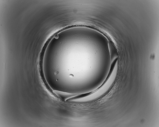 X0000099460991200805091524
