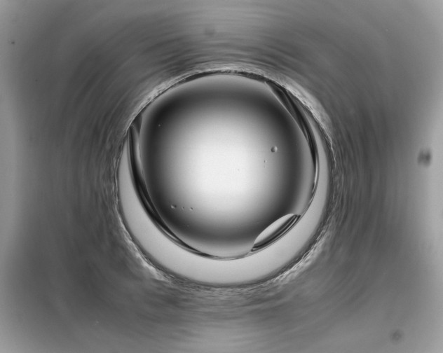X0000099460993200805091524