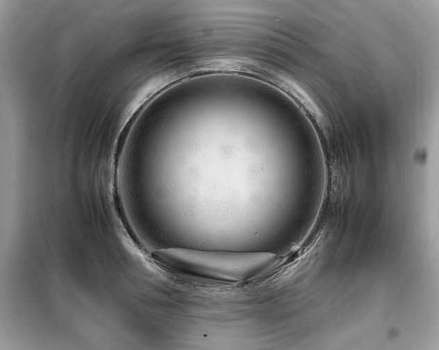 X0000099460994200805091524