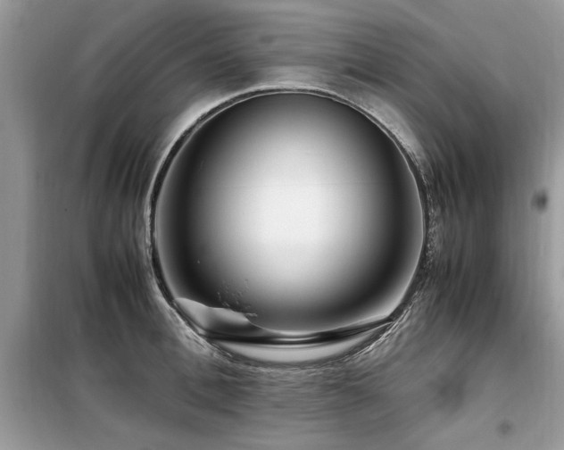 X0000099460996200805091524