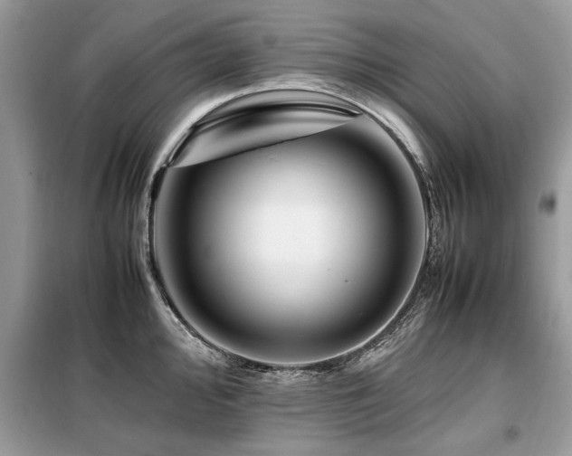 X0000099461000200805091524