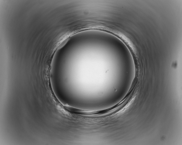 X0000099461001200805091524