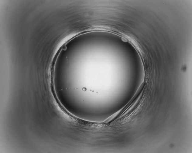 X0000099461003200805091524